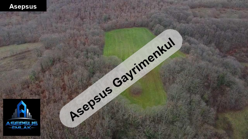 Asepsus Emlak'tan  koyuneri mh. 'sinde satılık arsa