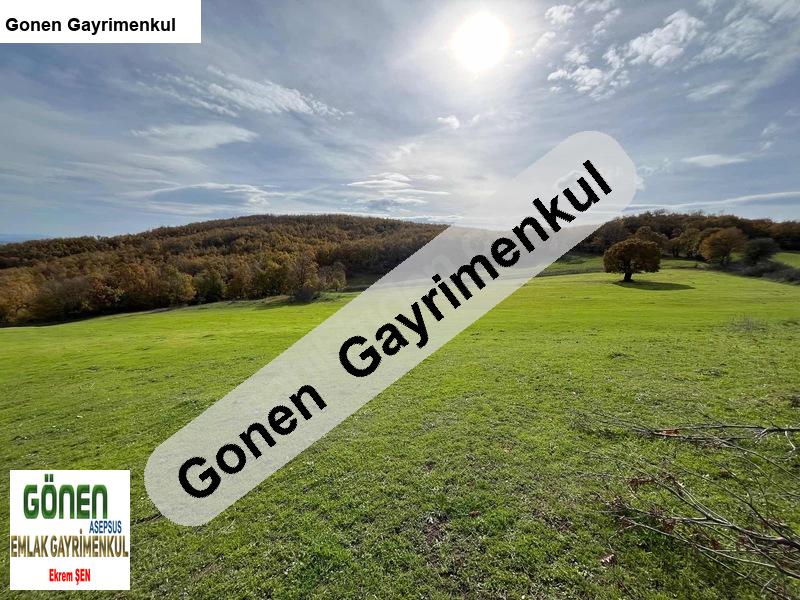 sahibinden satılık 19 dönüm tarla