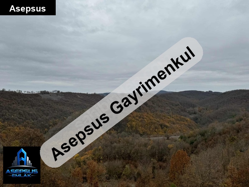 Asepsus Emlak'tan  erecek mh. 'sinde satılık arsa