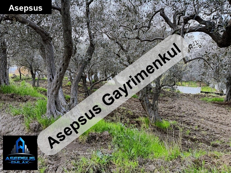 Asepsus Emlak'tan  narlı mh. 'sinde satılık arsa