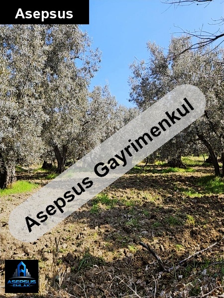 Asepsus Emlak'tan  i̇lhan mh. 'sinde satılık arsa