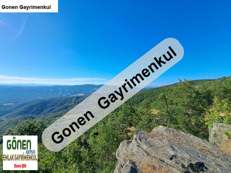 çanakkale kazdağlarinda sahi̇bi̇nden satilik firsat tarla!!!