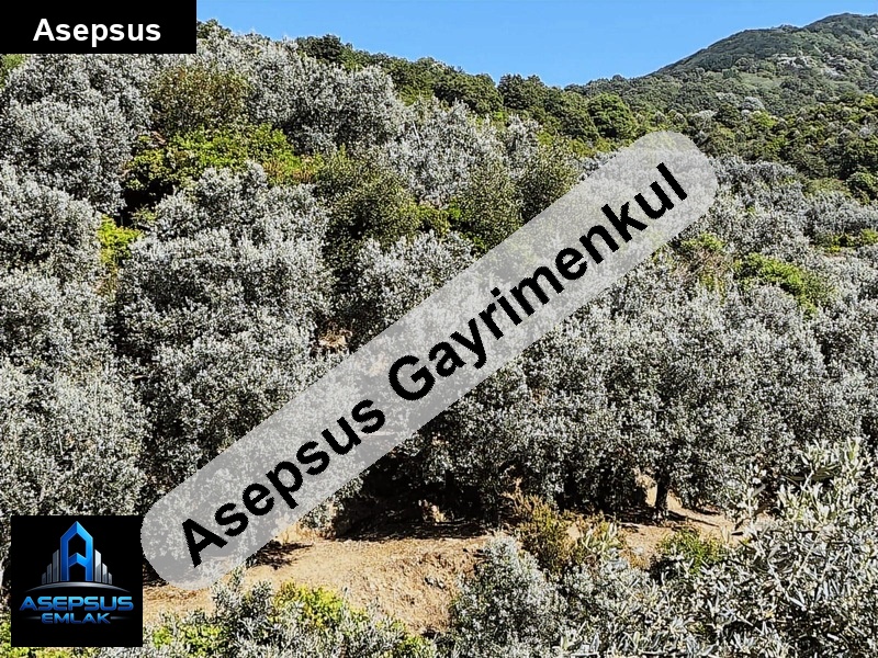 Asepsus Emlak'tan  ballıpınar mh. 'sinde satılık arsa