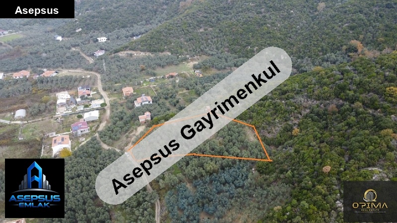 Asepsus Emlak'tan  doğanlar mh. 'sinde satılık arsa