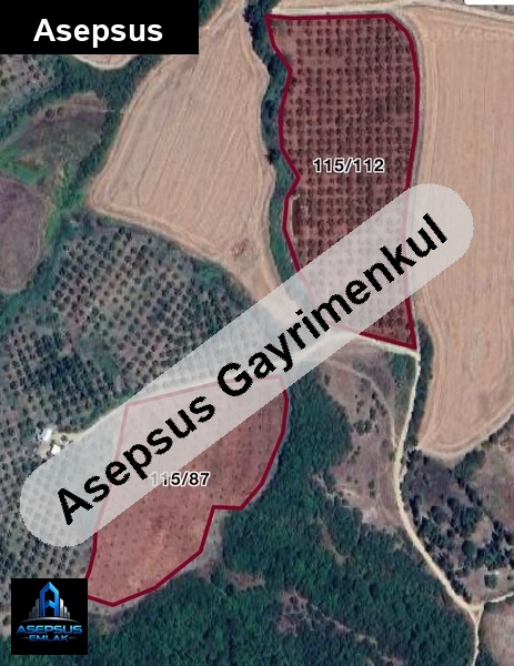 Asepsus Emlak'tan  eskimanyas mh. 'sinde satılık arsa