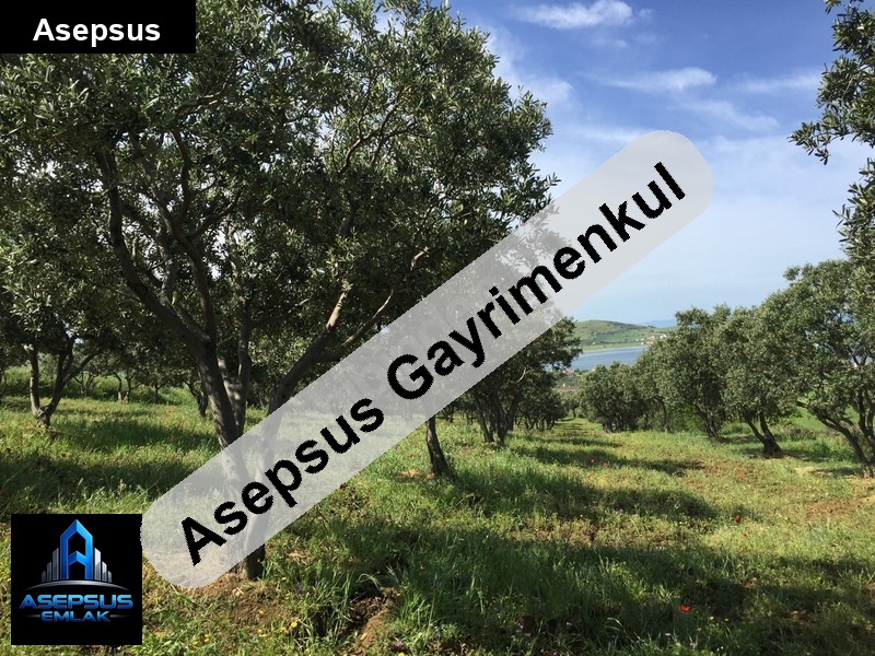 Asepsus Emlak'tan  paşalimanı mh. 'sinde satılık arsa