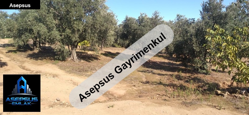 Asepsus Emlak'tan  hamamlı mh. 'sinde satılık arsa