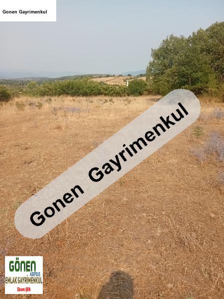 çanakkale yeni̇ce kargaci köyünde 2957 m2 arsa