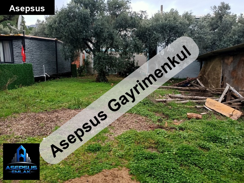 Asepsus Emlak'tan  ormanlı mh. 'sinde satılık arsa