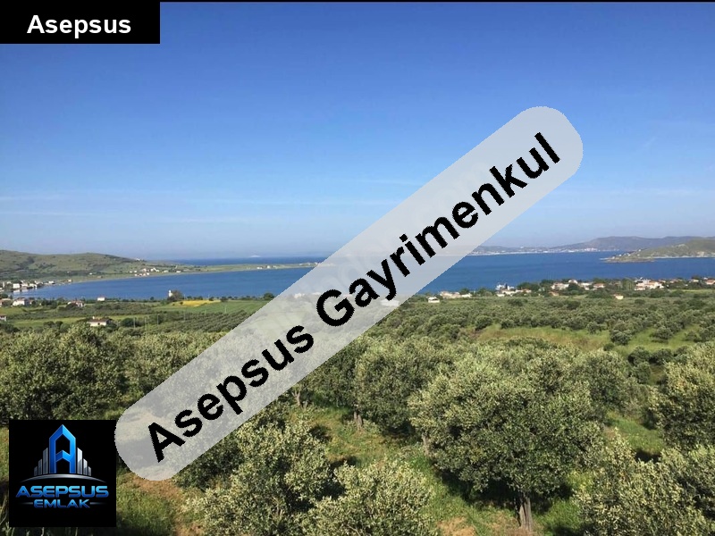 Asepsus Emlak'tan  paşalimanı mh. 'sinde satılık arsa