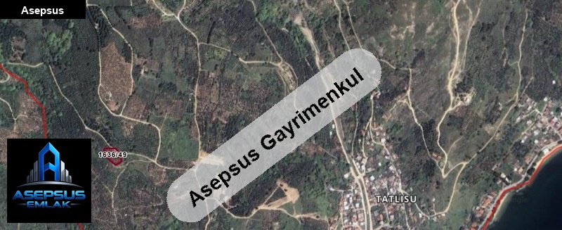 Asepsus Emlak'tan  tatlısu mh. 'sinde satılık arsa