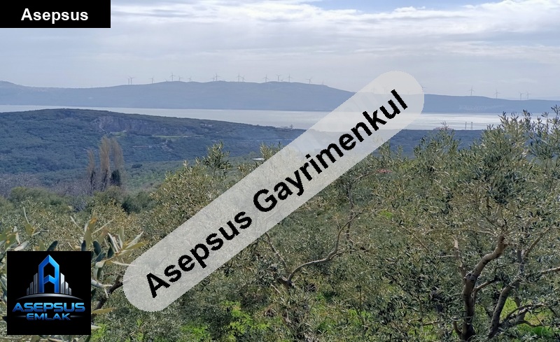 Asepsus Emlak'tan  atatürk mh. 'sinde satılık arsa