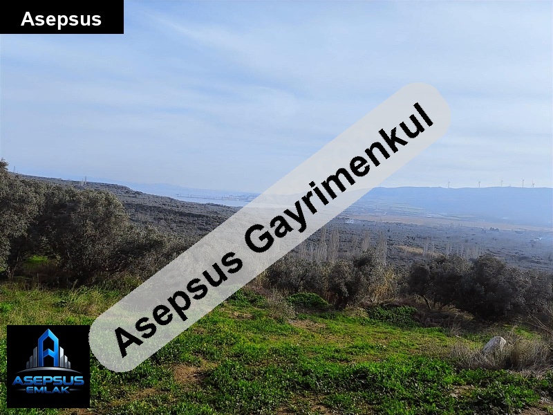 Asepsus Emlak'tan  belkıs mh. 'sinde satılık arsa