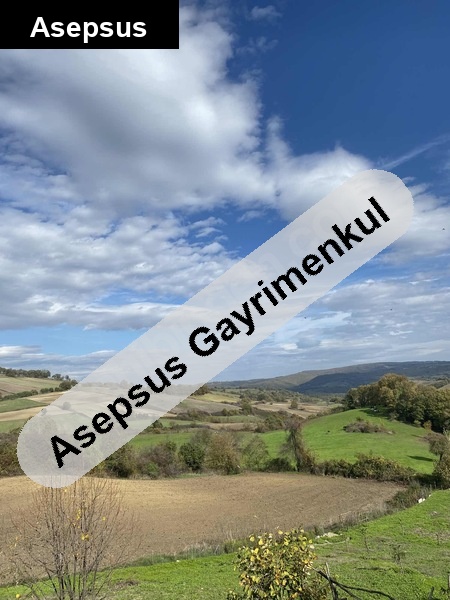 2 katli müstaki̇l ev ve 4000 m2 arsa