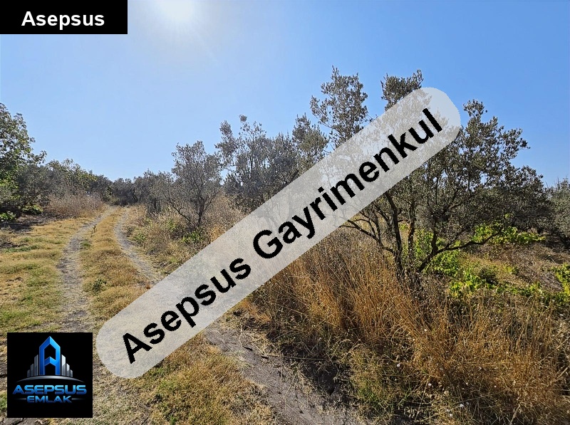 Asepsus Emlak'tan  bölceağaç mh. 'sinde satılık arsa