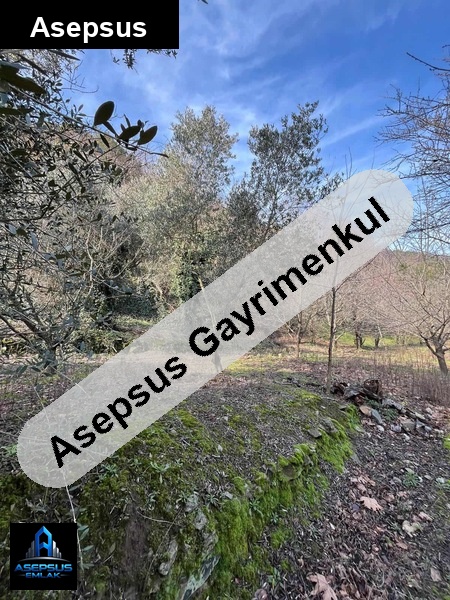 Asepsus Emlak'tan  ballıpınar mh. 'sinde satılık arsa
