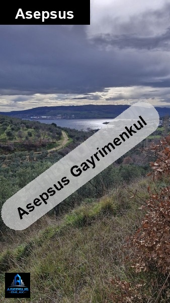 Asepsus Emlak'tan  tatlısu mh. 'sinde satılık arsa