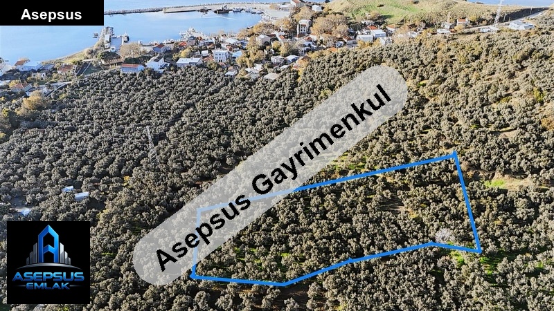 Asepsus Emlak'tan  i̇lhan mh. 'sinde satılık arsa
