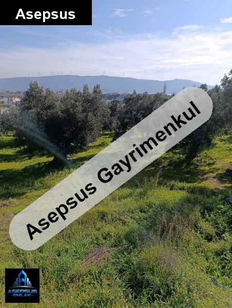 Asepsus Emlak'tan  zeytinli mah. 'sinde satılık arsa