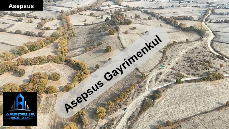 Asepsus Emlak'tan  dereköy mh. 'sinde satılık arsa
