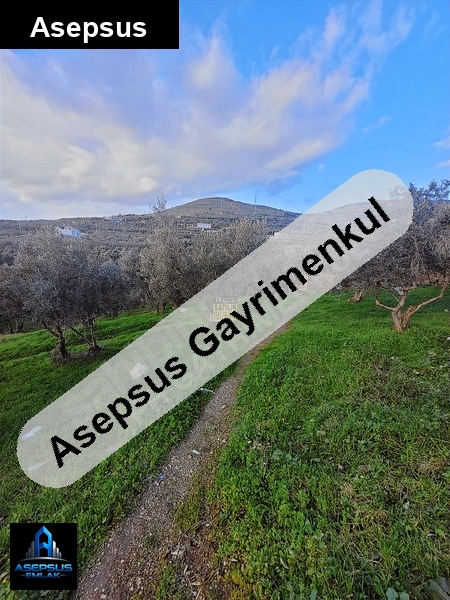 Asepsus Emlak'tan  atatürk mh. 'sinde satılık arsa