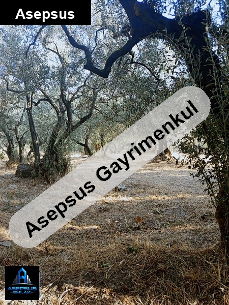 Asepsus Emlak'tan  atatürk mh. 'sinde satılık arsa