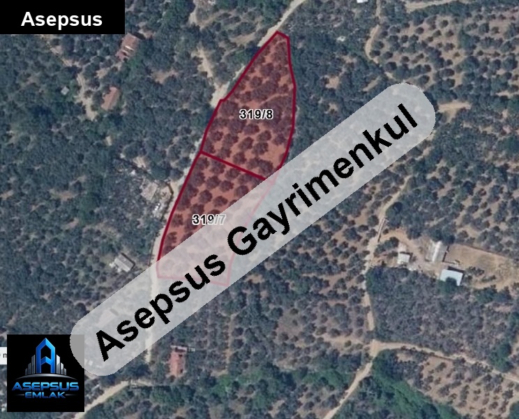 Asepsus Emlak'tan  atatürk mh. 'sinde satılık arsa