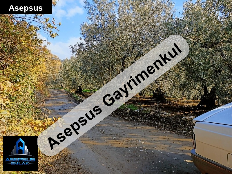 Asepsus Emlak'tan  atatürk mh. 'sinde satılık arsa