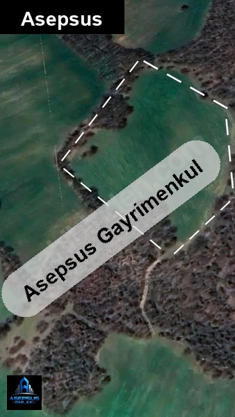 Asepsus Emlak'tan  orhanlar mh. 'sinde satılık arsa