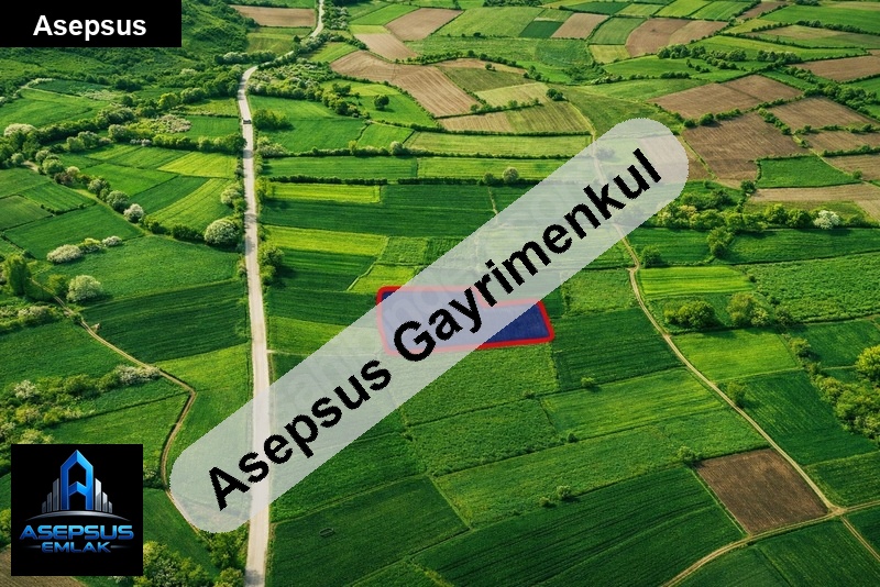 Asepsus Emlak'tan  alidemirci mh. 'sinde satılık arsa