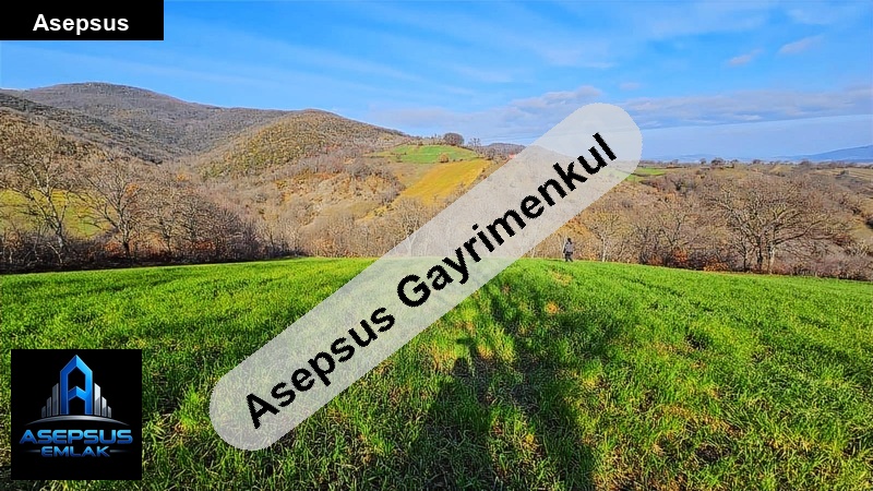 Asepsus Emlak'tan  necip mh. 'sinde satılık arsa