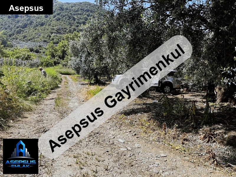 Asepsus Emlak'tan  ballıpınar mh. 'sinde satılık arsa