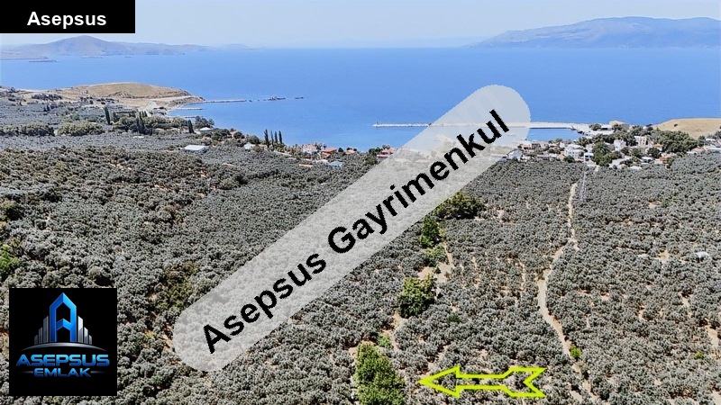 Asepsus Emlak'tan  i̇lhan mh. 'sinde satılık arsa