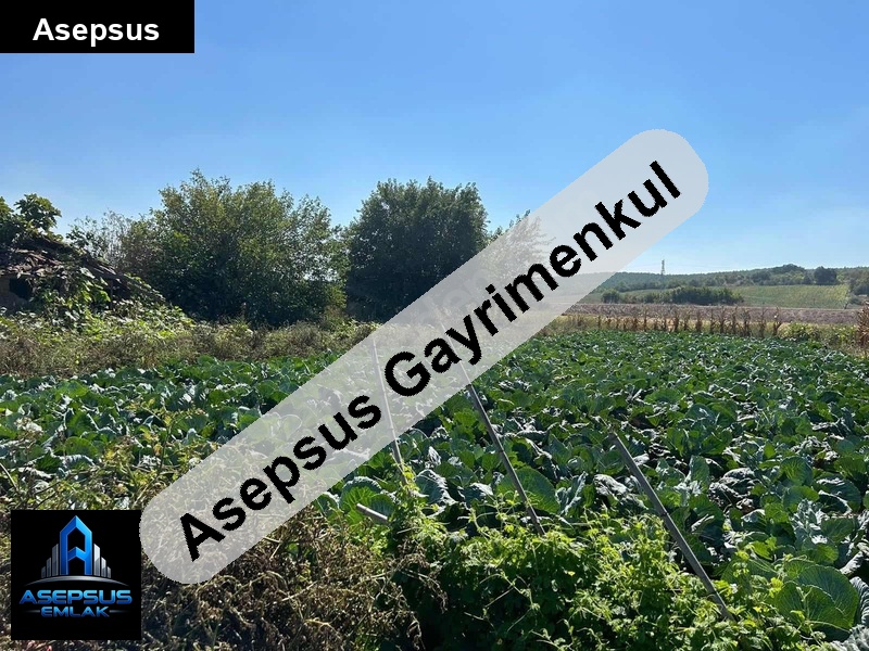 Asepsus Emlak'tan  bölceağaç mh. 'sinde satılık arsa