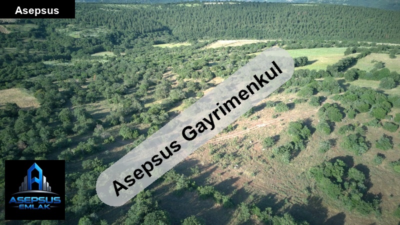 Asepsus Emlak'tan  yaylacık mh. 'sinde satılık arsa