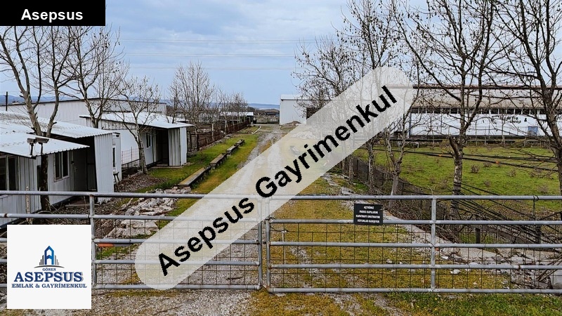 Asepsus Emlak'tan 1+0 kurtuluş mh. 'sinde kiralık i̇ş yeri