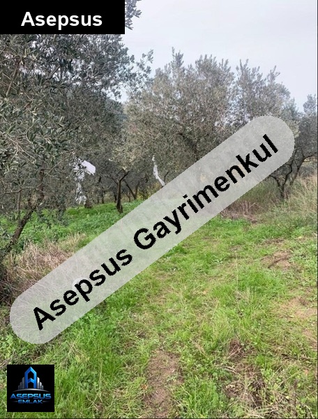 Asepsus Emlak'tan  turan mh. 'sinde satılık arsa