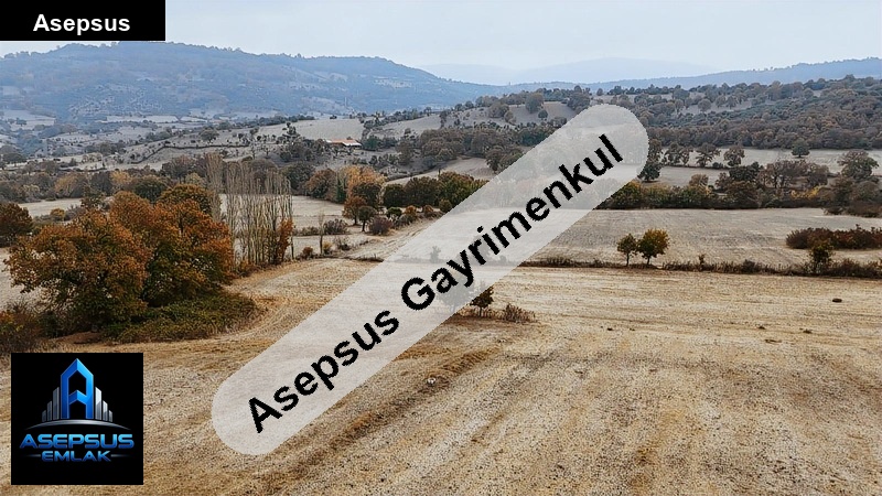 Asepsus Emlak'tan  dereköy mh. 'sinde satılık arsa