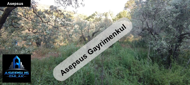 Asepsus Emlak'tan  ballıpınar mh. 'sinde satılık arsa