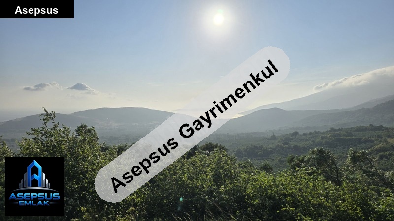 Asepsus Emlak'tan  atatürk mh. 'sinde satılık arsa