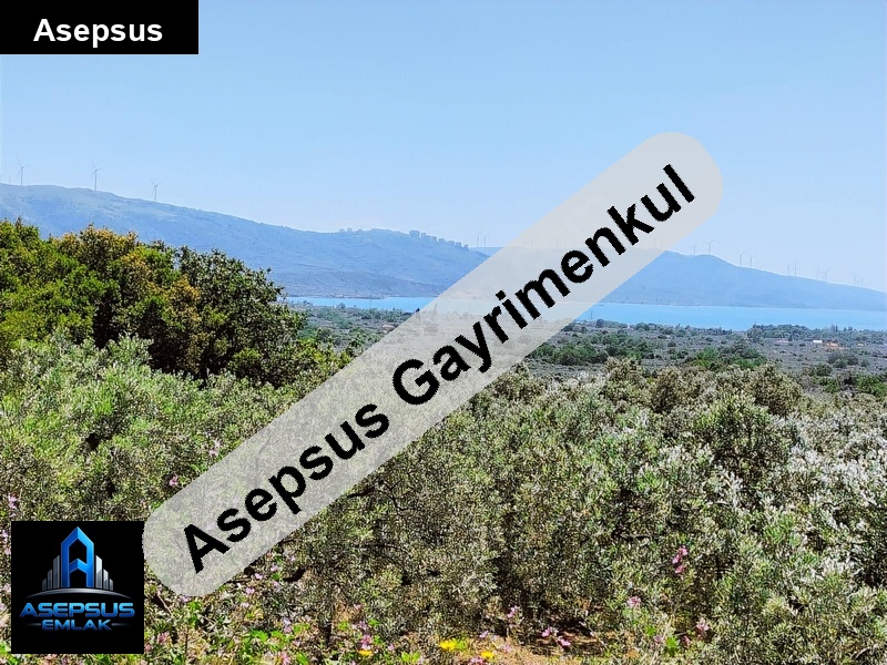 Asepsus Emlak'tan  hamamlı mh. 'sinde satılık arsa