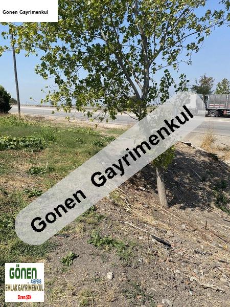 Sıkıntısız Tek Tapu - Yol Kenarı %40 İmarlı Arazi