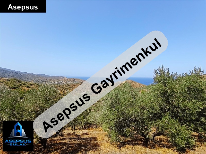 Asepsus Emlak'tan  kestanelik mh. 'sinde satılık arsa