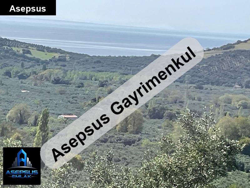 Asepsus Emlak'tan  atatürk mh. 'sinde satılık arsa