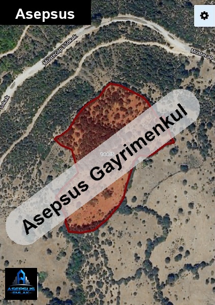 Asepsus Emlak'tan  müstecap mh. 'sinde satılık arsa