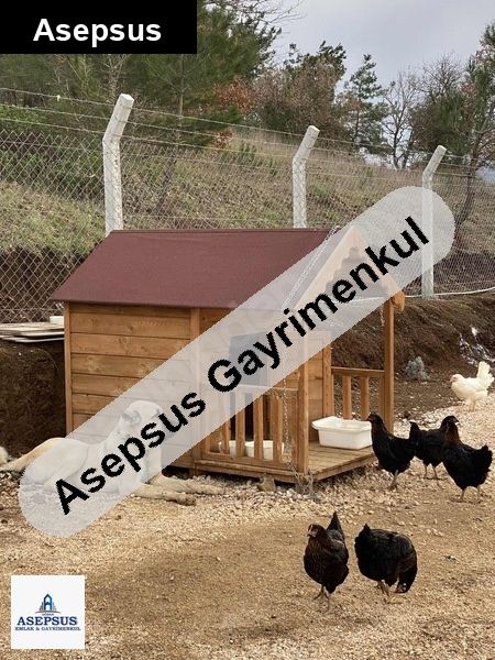 Asepsus Emlak'tan 3 çal köyü 'sinde satılık çiftlik evi