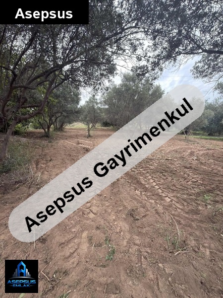 Asepsus Emlak'tan  aşağıyapıcı mh. 'sinde satılık arsa