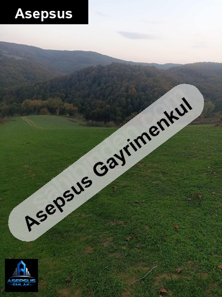Asepsus Emlak'tan  erecek mh. 'sinde satılık arsa