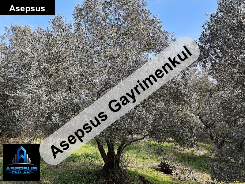 Asepsus Emlak'tan  karşıyaka mh. 'sinde satılık arsa