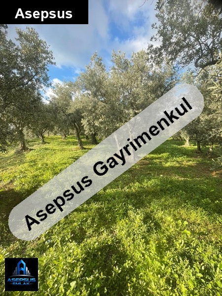 Asepsus Emlak'tan  atatürk mh. 'sinde satılık arsa